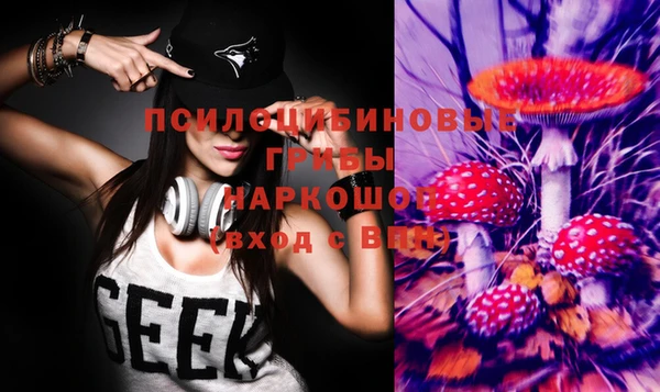 эйфоретик Зерноград