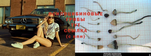 соль ск Зеленодольск