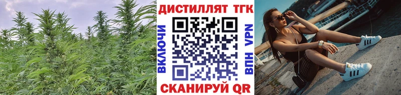 Купить  Далматово  ТГК вейп 
