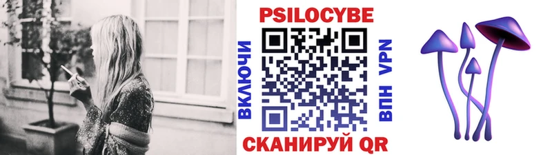 Купить закладки  Далматово  Псилоцибиновые грибы Psilocybe 